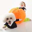 Disfraz Perro Llevando Calabaza