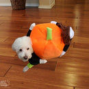 Disfraz Perro Llevando Calabaza